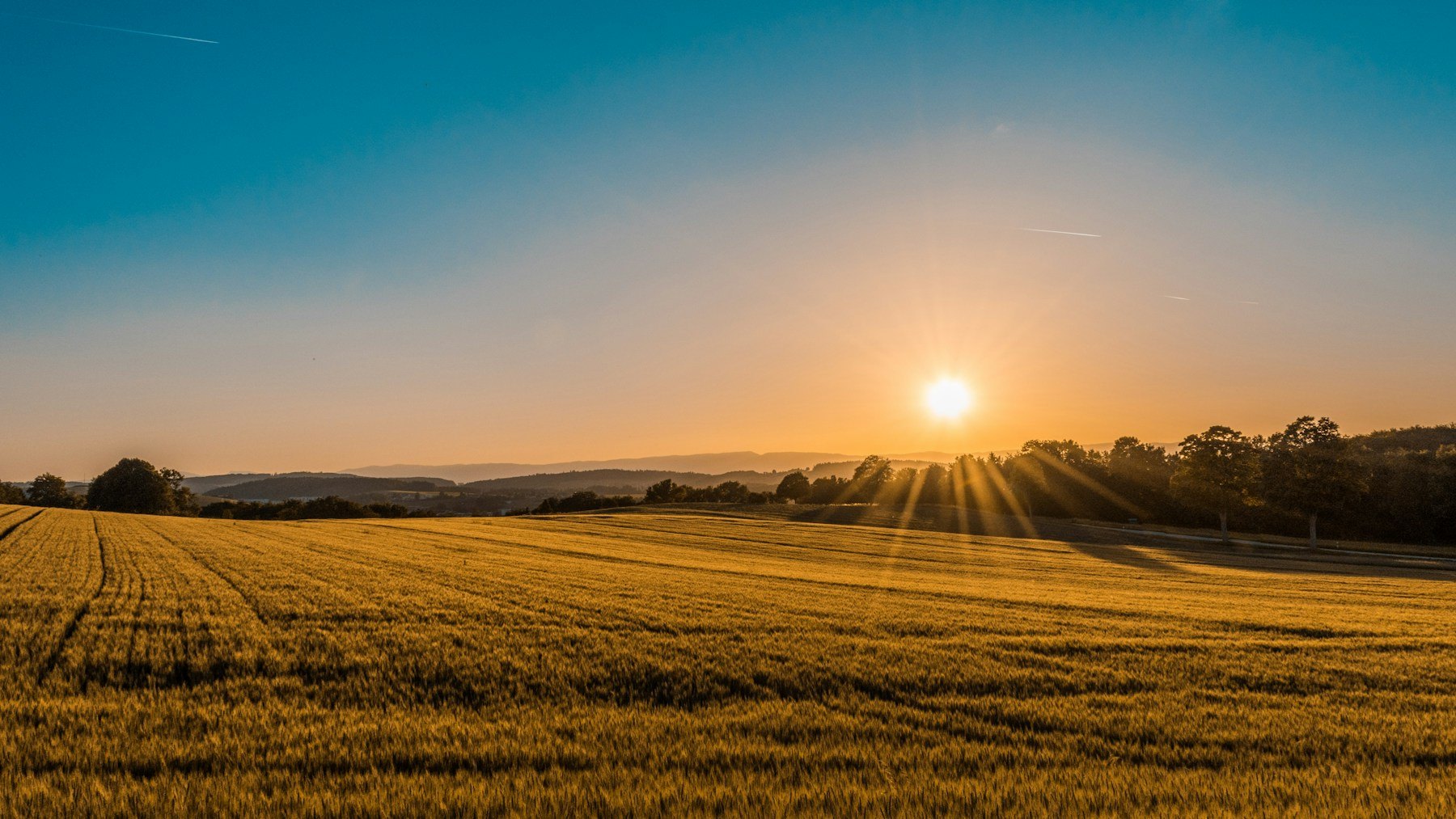 Illustrative pasture planning context